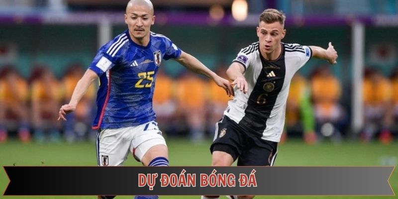 dự đoán bóng đá