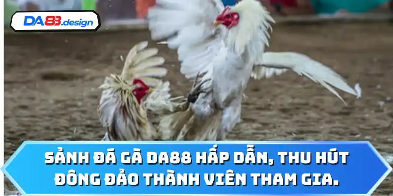 Sảnh đá gà DA88 hấp dẫn, thu hút đông đảo thành viên tham gia.