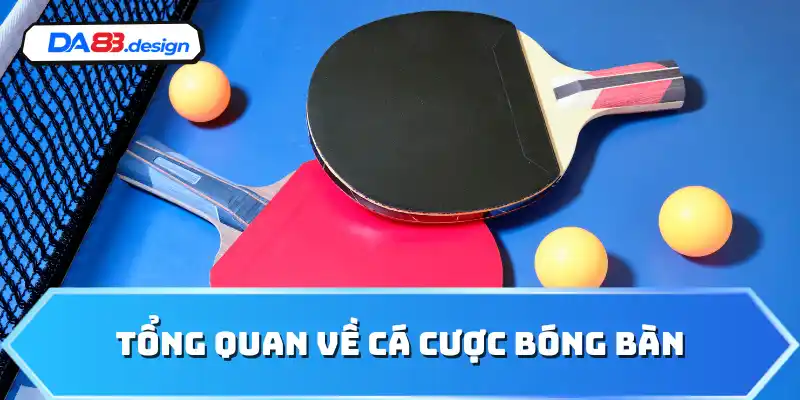 Tổng quan về cá cược bóng bàn