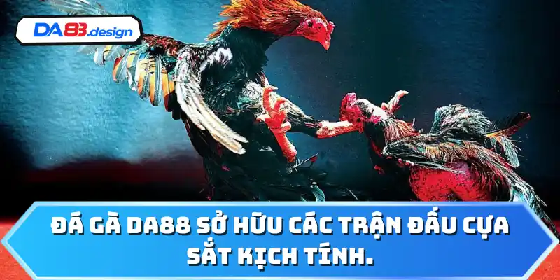 Đá gà DA88 sở hữu các trận đấu cựa sắt kịch tính.